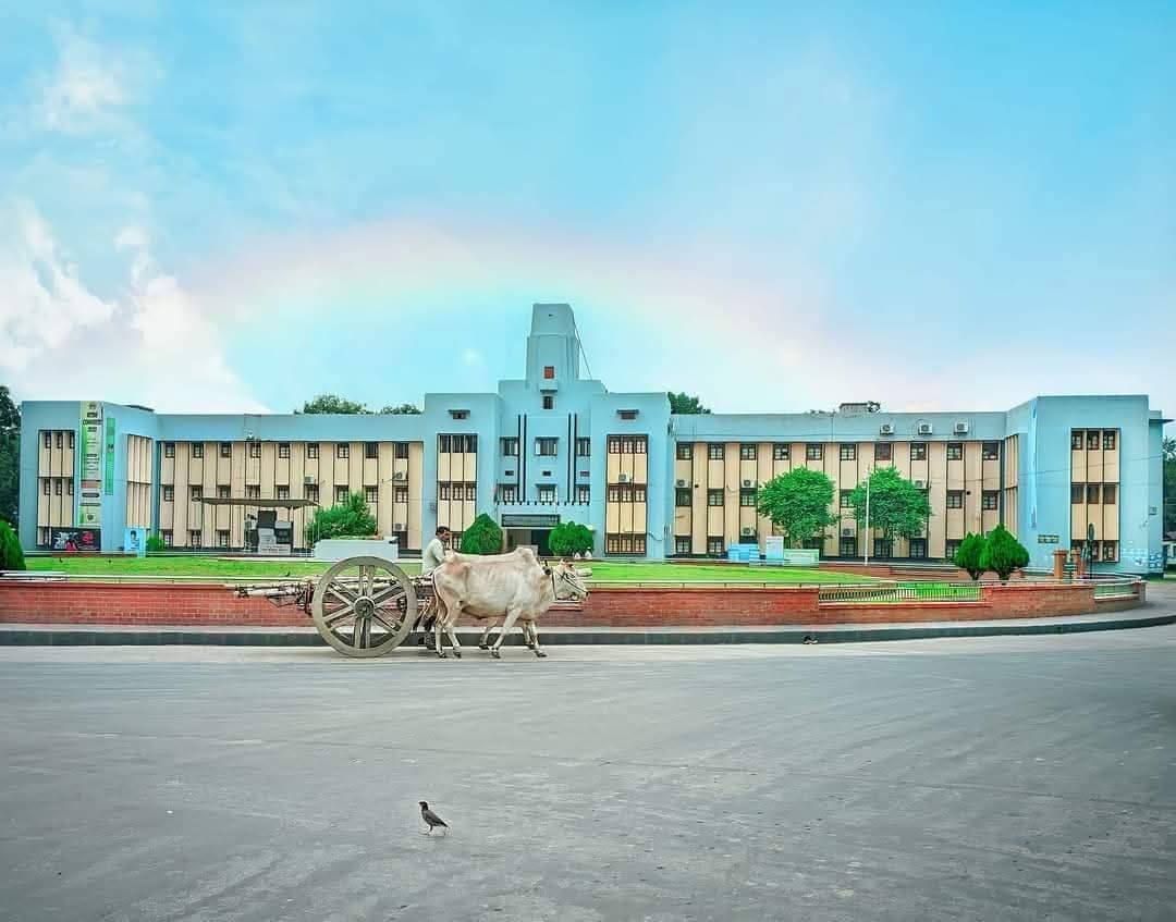 University of Rajshahi cover